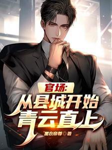 主角从乡镇开始的 官场