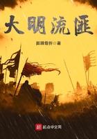 大明流匪顶点