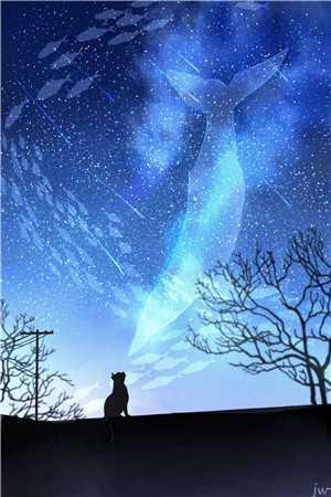 秦风重生赵敏