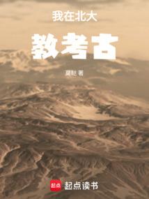 我在北大教考古免费