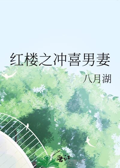 红楼之冲喜男妻 八月湖