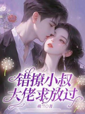 错撩小叔叔