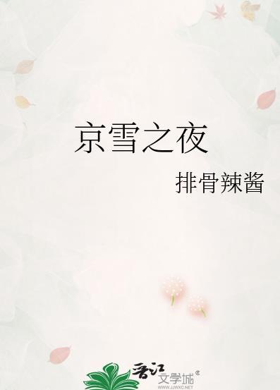 京雪之夜哪一章离婚