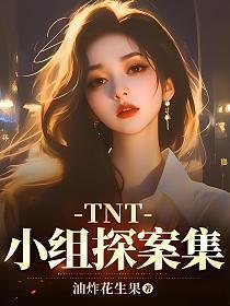 tnt小组探案集免费阅读