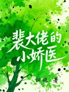 裴大佬的小娇医免费阅读