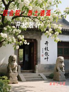 四合院烈士遗孤