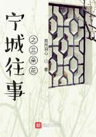 宁城往事之三朵花全集