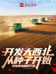 开发大西北有什么好的政策