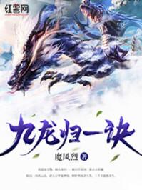 九龙归一诀陆沉介绍