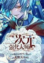 二次元强化大师TXT全集