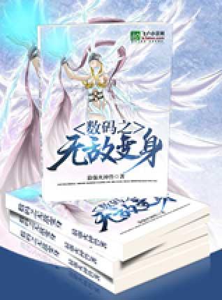 数码之系统