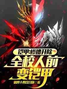 铠甲合集