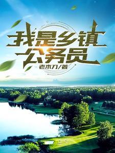 我是乡镇公务员大结局