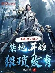 穿越斗破之云岚宗少主