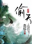 偷天盗日