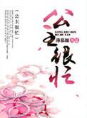 公主很忙剧透