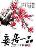 官居一品妻妾