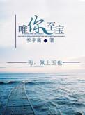 唯你至宝 长宇宙讲什么