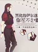 综黑化的伊尔迷你惹不起