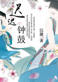 迟迟钟鼓初长夜最佳答案