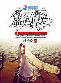 爱妻入骨独占第—冷少