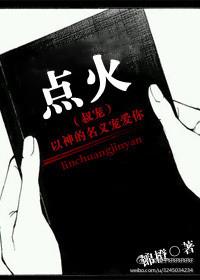 点火叔宠未和谐版txt